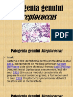 Patogenia Genului Streptococcus