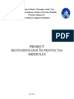 BPM Proiect