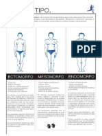 Somatotipo PDF