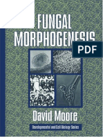 Fungal Morphogenesis.pdf