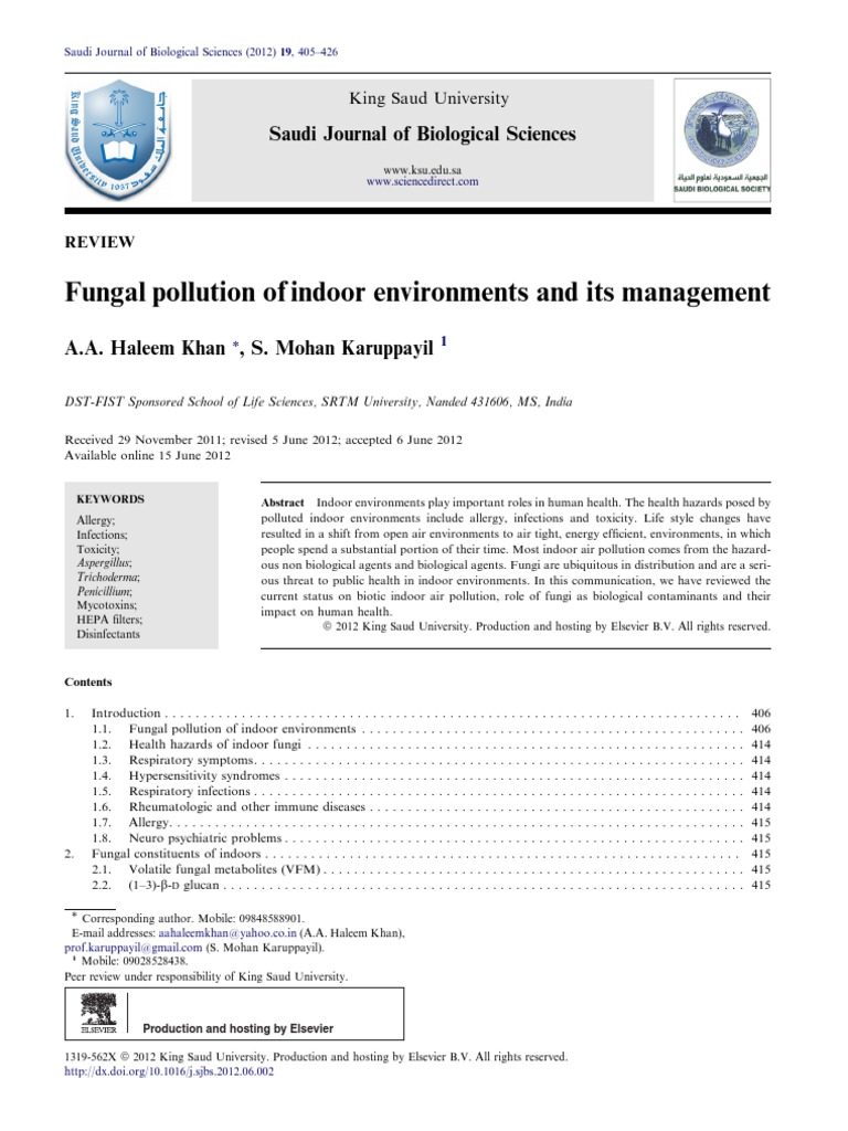 Contaminacion Fungica De Ambientes Interiores Y Su Manejo Aspergillus Fungus