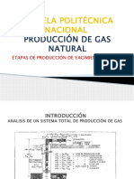 C5 Desarrollo de Un Reservorio de Gas Natural