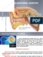 urechea.pptx