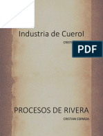 Industria Cuero: Procesos de Pelambre y Calero