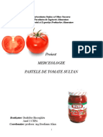 153107231-Merceologie-Pasta-de-Tomate.doc