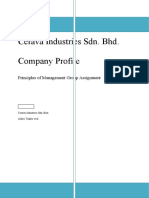 Principles of Management Company Profile Sem 3 2010 Assignment