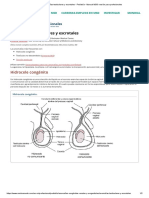 Anomalías testiculares y escrotales