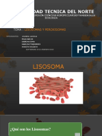 Lisosomas y Peroxisomas