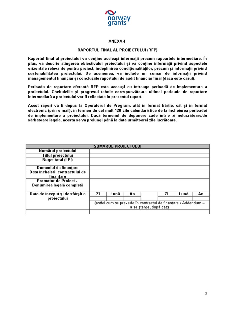 Model Raport Final | PDF
