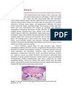 Lichen Striatus Translate Jurnal INDO