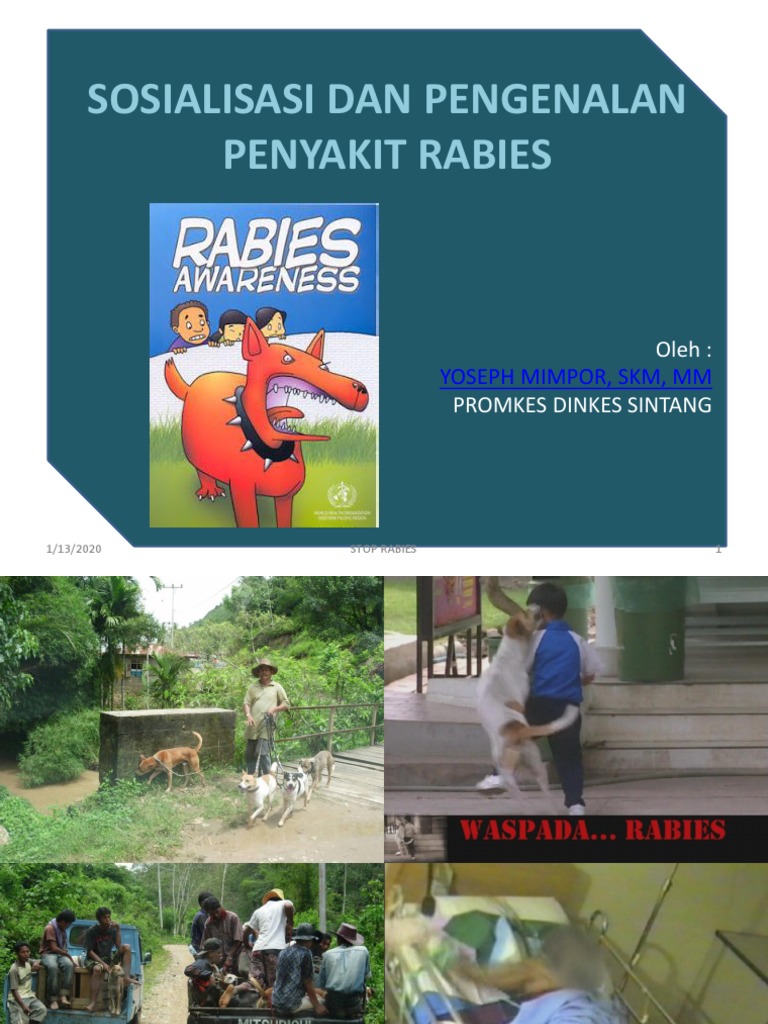 Gejala dan Penanganan Rabies pada Hewan | PDF | Sains & Matematika