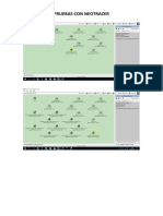 Pruebas Con Neotracer