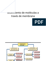 Clase No. 04 Transporte de Moleculas