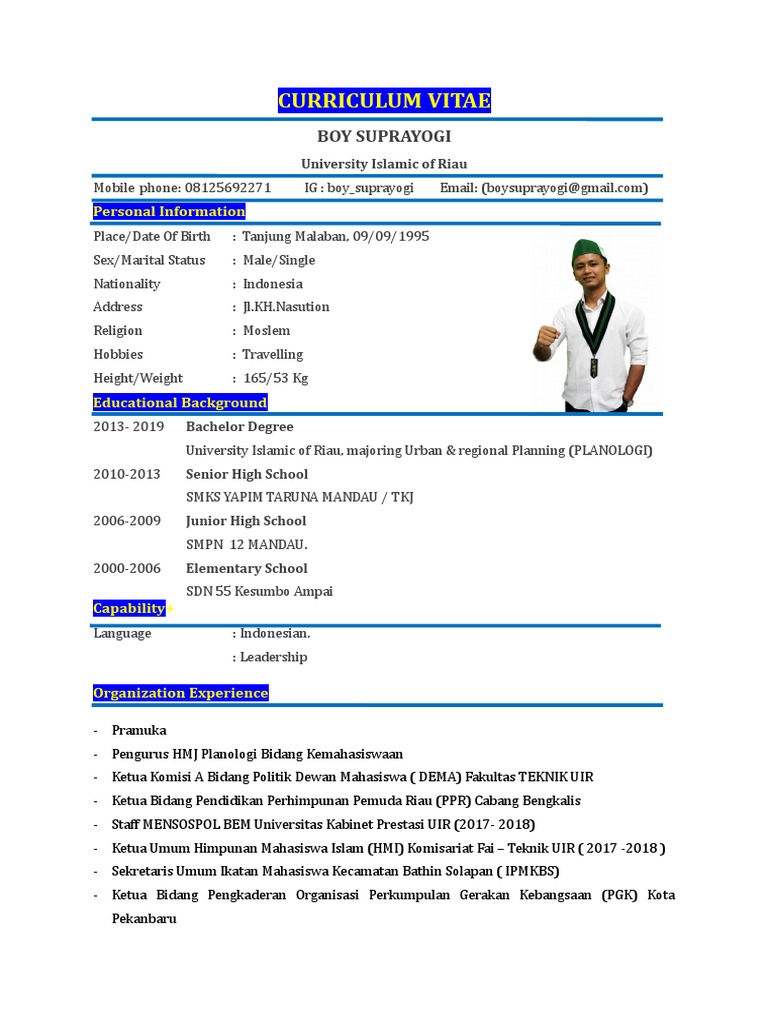 CV Boy | PDF