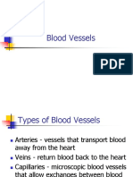 Blood Vessels 2017 Sci 9