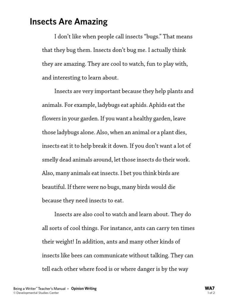 Insects Are Amazing | PDF | Insects | Nature