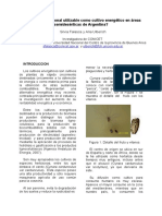 Cinea Plaganacional PDF