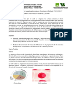 Cambios Cromosomicos en mitosis y meiosis.docx