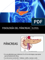 FISIOLOGÍA DEL PÁNCREAS.pptx