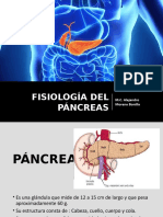 Fisiología Del Páncreas