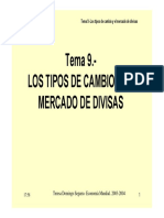 tema92004 (1).pdf