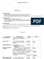 Proiect de Lectie Divizibilitatea Numerelor Naturale - Recapitulare - Clasa A V A