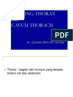 Dinding Thorax Dan Cavum Thoracis