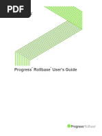 Rollbase_user_guide_5_3_2.pdf