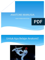 Anatomi Manusia