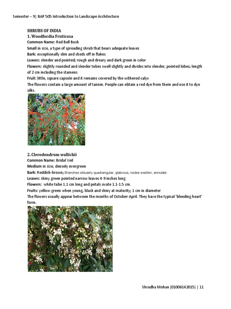 Shrubs of India PDF Leaf Flowers