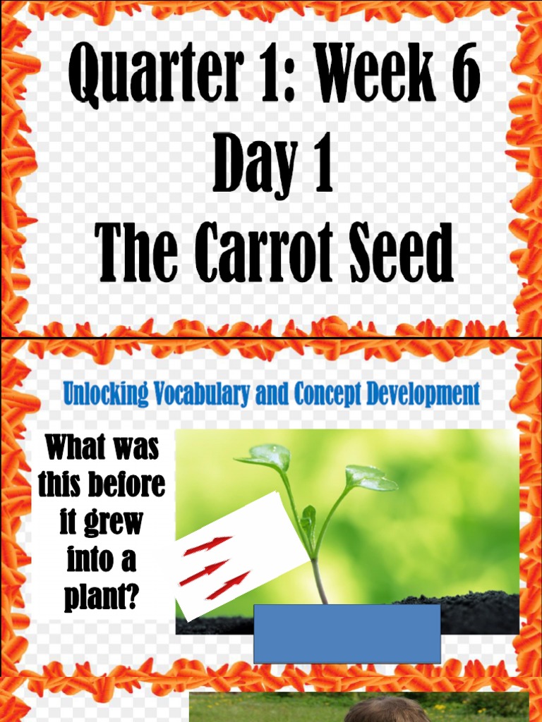 The Carrot Seed PDF Noun