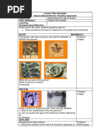 13 - Bio - Determining Age of Fossils