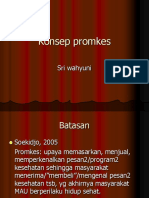 1 Konsep-Promosi-Kesehatan (Promkes)