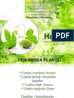 Plante Toxice-Hamei