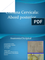 fracturi cervicale.pptx