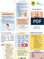 Leaflet Epistaksis