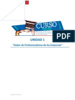 02 - Deber de Profesionalismo de La Empresa