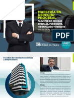 Brochure Derecho Procesal
