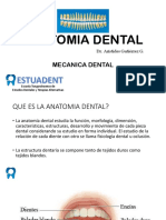 ANATOMIA DENTAL (Mecanica Dental)