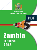 Zambia in Figure 2018