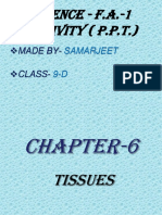 Tissues PPT Summary
