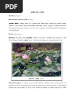 Jammu and Kashmir State Flower - Final - 3 - 11