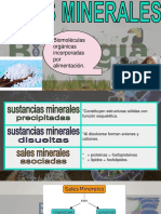 sales minerales.pptx