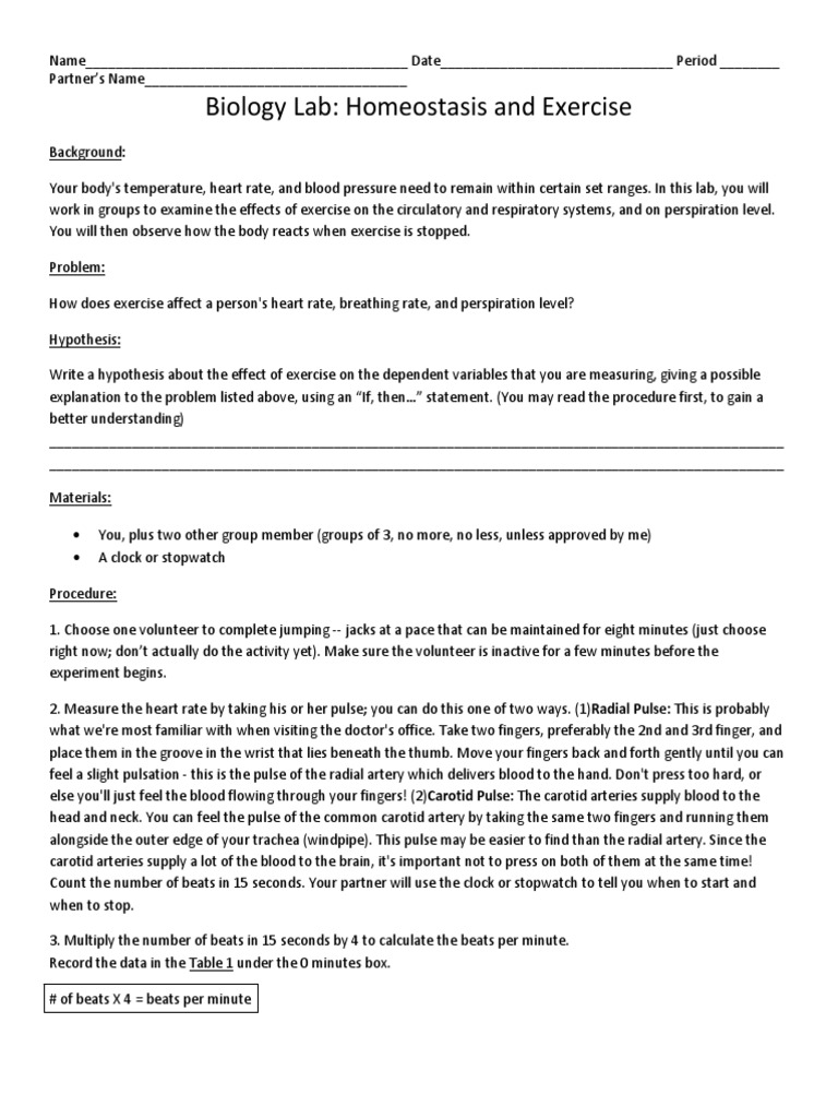 Lab Homeostasis Exercise PDF Pulse Heart Rate