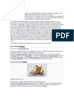 Minerales PDF