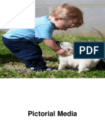 Using Pictorial Media in Education