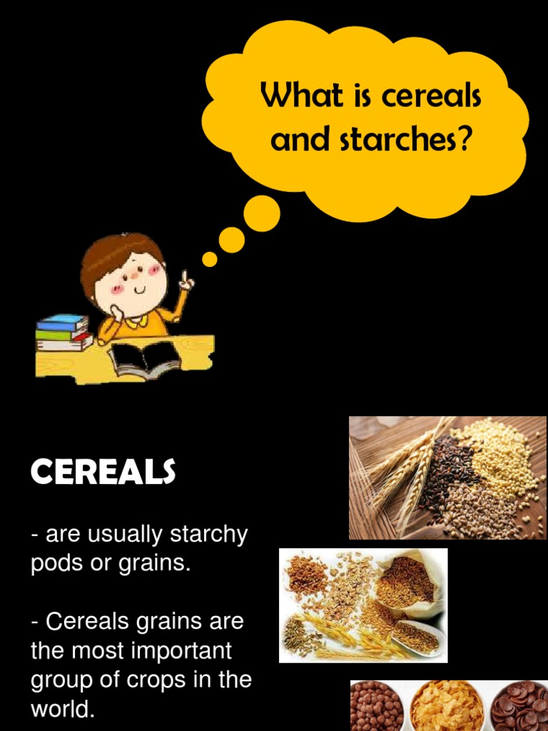 Cereals and Starches PDF Starch Custard