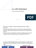 Rashed Nessar Cell Structures Presentation