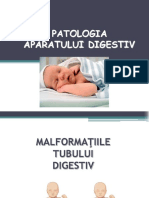 patologia sist digestiv.ppt