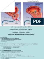 9.-Male-genital-tract-diseases.-Syphilis.ppt